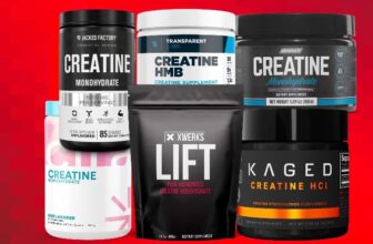 11 Greatest Creatine Dietary supplements of 2023