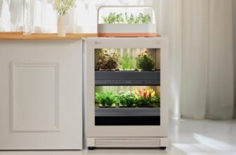 LG tiiun: Empowering Cooking Fans and Indoor Gardeners with Recent Herbs