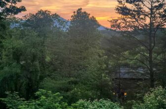 The Little Issues E-newsletter #366 – Life, laughter, and plenty of nice meals!