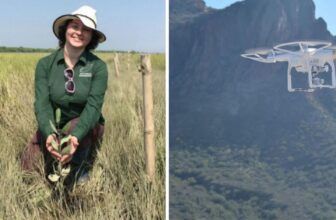 Drones Developed By Former NASA Engineer Plant “Seed Missiles” Inflicting Spectacular Tree Progress