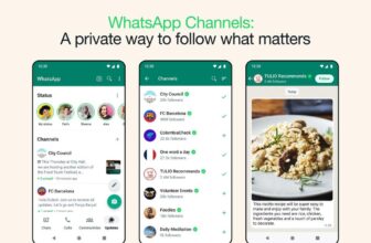 WhatsApp’s new Channels function lets accounts ship one-way updates to followers