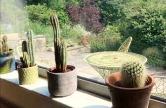 I Ordered Crops from Hortology: Right here Are My Ideas