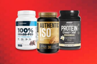 The 17 Greatest Protein Powders of 2023