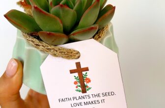 Friday Faves 6.2 – The Fitnessista