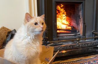 What can Photoshop Generative Fill do? Take a look at our gallery of examples