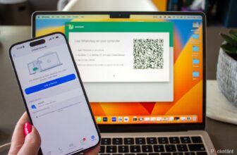 WhatsApp Net and Desktop: How do you utilize them?