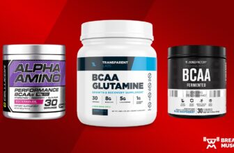 The 8 Finest BCAA Dietary supplements to Enhance Your Restoration (2023)