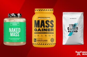 The 8 Greatest Mass Gainers To Assist You Bulk Up Quick