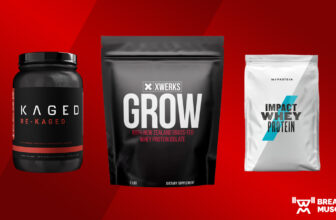 The ten Greatest Protein Powders for Muscle Achieve (2023)