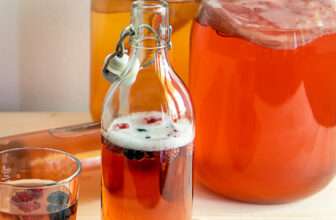 Make Kombucha at Dwelling and Taste It