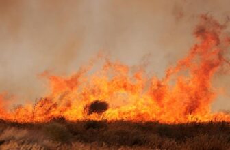 California deploys AI to detect wildfires earlier than they begin spreading