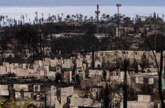 850 Individuals Stay Lacking in Maui After Devastating Wildfires
