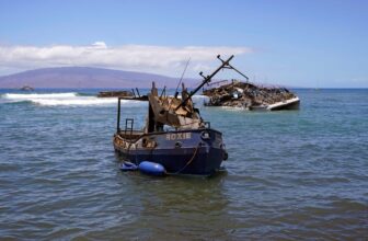 The Maui Fires Are Messing With Hawaii’s Prized Coral Reefs