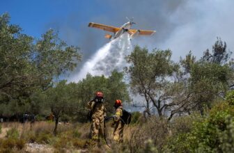 EU Hires Fewer Firefighters, Faces Extra Wildfires Than Ever