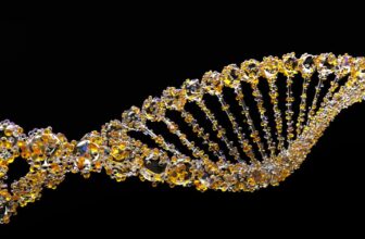 Scientists genetically engineer micro organism to detect most cancers cells