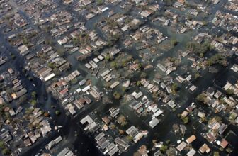 Hurricanes Extra More likely to Kill Minorities within the U.S.