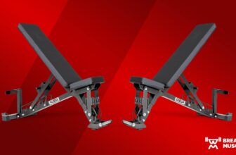 REP AB-5200 Adjustable Bench Overview (2023)