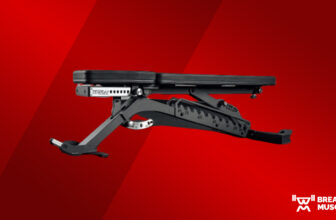 REP Health BlackWing Adjustable Bench Evaluation