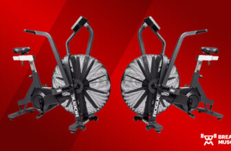 Rogue Echo Bike Assessment (2023)