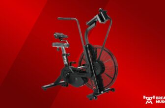 Assault Health AssaultBike Professional X Assessment (2023)