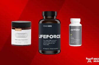 Finest NMN Complement of 2023, In response to a Vitamin Coach