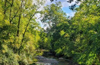 The Little Issues Publication #434 – Life, laughter, and plenty of nice meals!