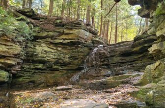 The Little Issues Publication #443 – Life, laughter, and plenty of nice meals!