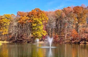 The Little Issues Publication #442 – Life, laughter, and plenty of nice meals!