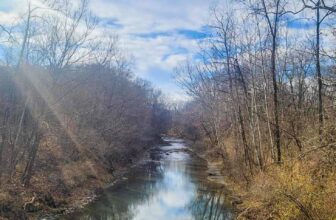 The Little Issues Publication #445 – Life, laughter, and plenty of nice meals!