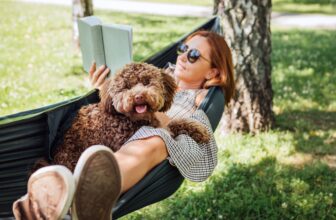 Methods to Make Relaxation Really feel Productive (So You Really Do It)