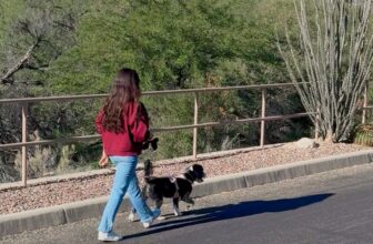 Low-Effort Wellness Habits That Truly Make a Distinction